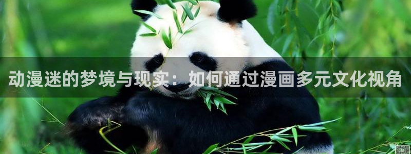 皮皮喵动漫：动漫迷的梦境与现实：如何通过漫画多元文化视角